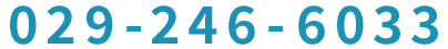 029-246-6033